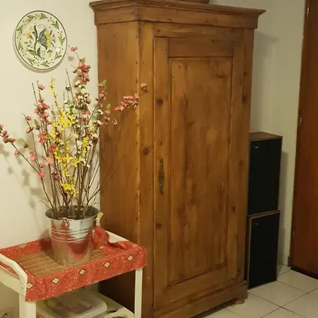 Les Brugmansias Gasthof Biesheim