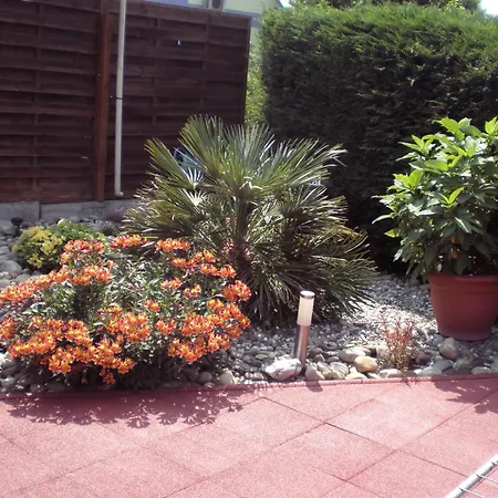 Les Brugmansias Gasthof Biesheim